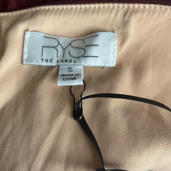 Ryse the Label Zuri-Mesh Cranberry Ruched Dress K3 - Picture 5 of 5